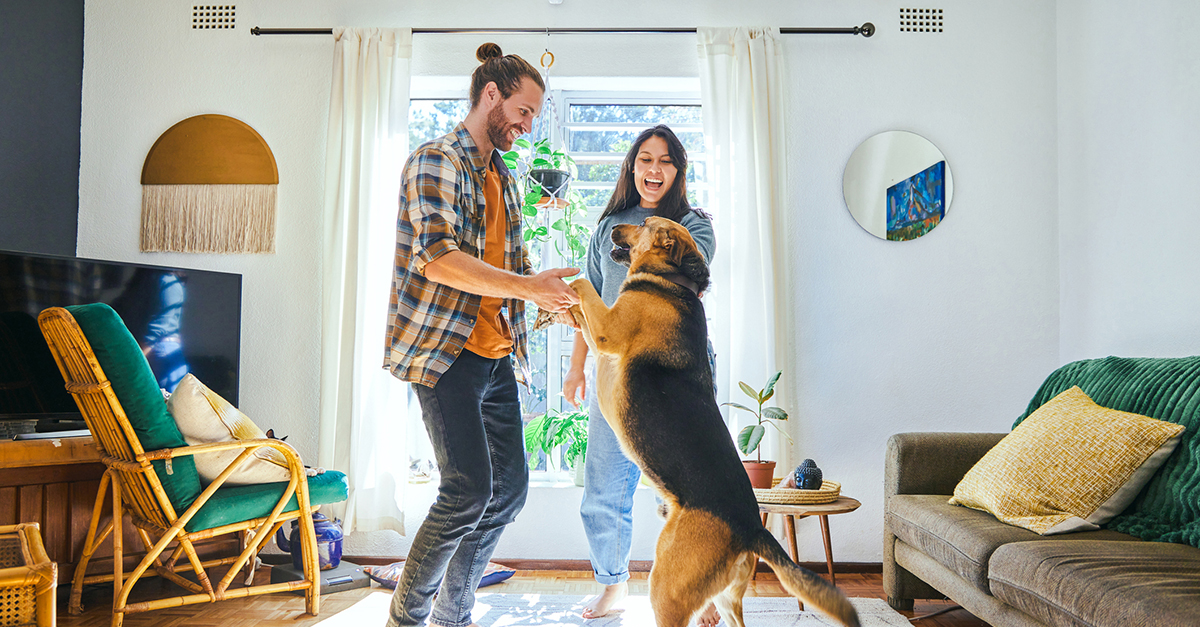 A couple playing with their dog in the living room.